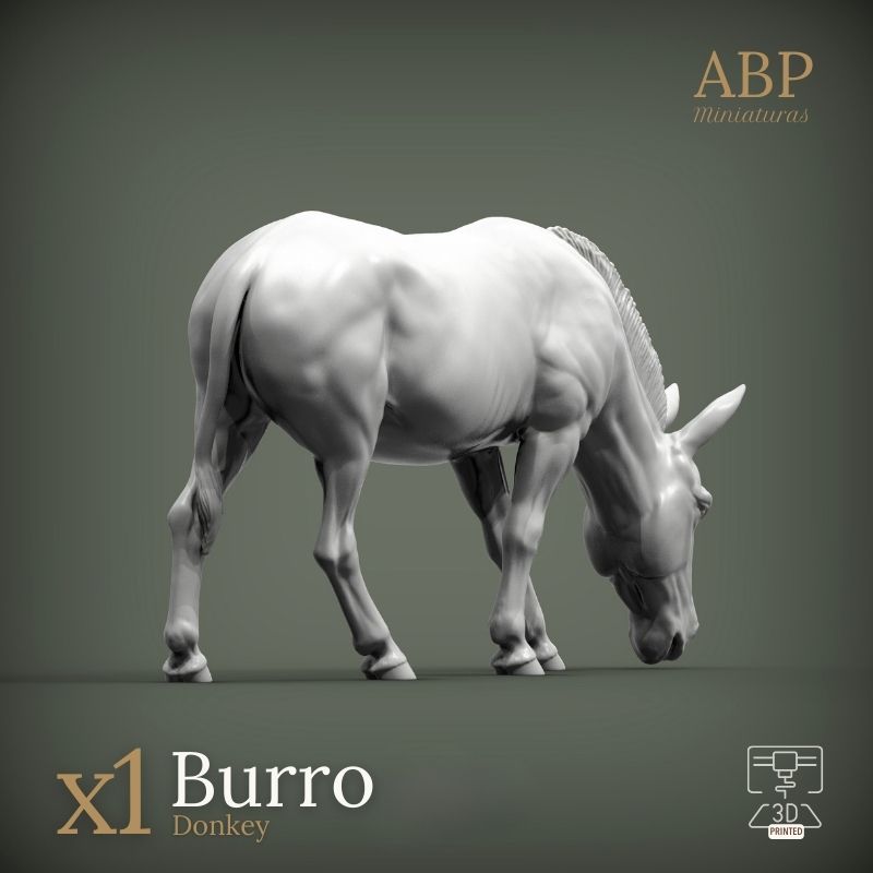 Burro comiendo