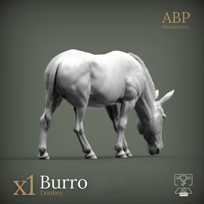 Burro comiendo