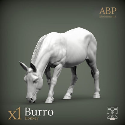 Burro comiendo