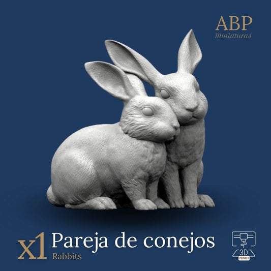 Pareja de Conejos