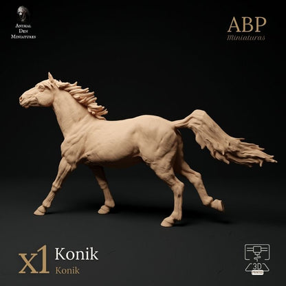 Caballo Konik Galopando