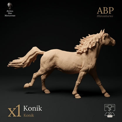 Caballo Konik Galopando