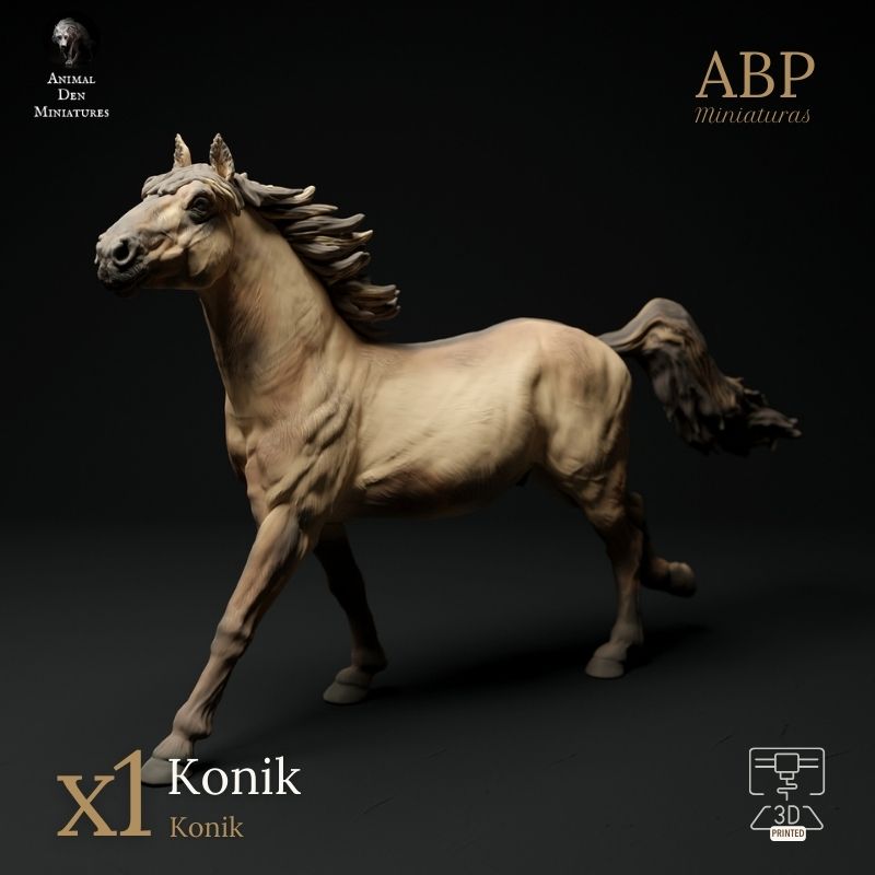 Caballo Konik Galopando
