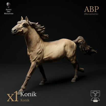 Caballo Konik Galopando