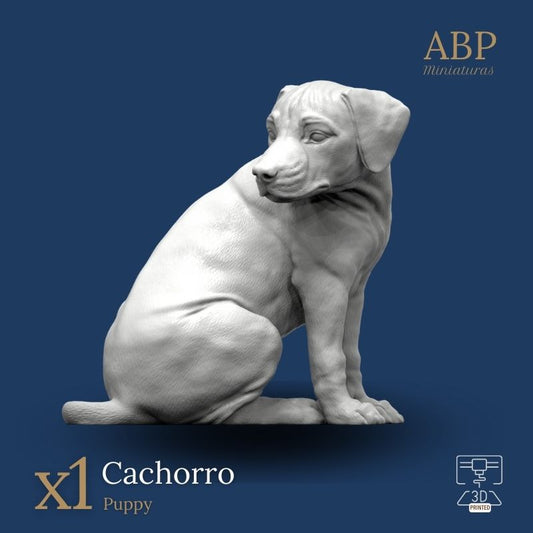 Cachorro