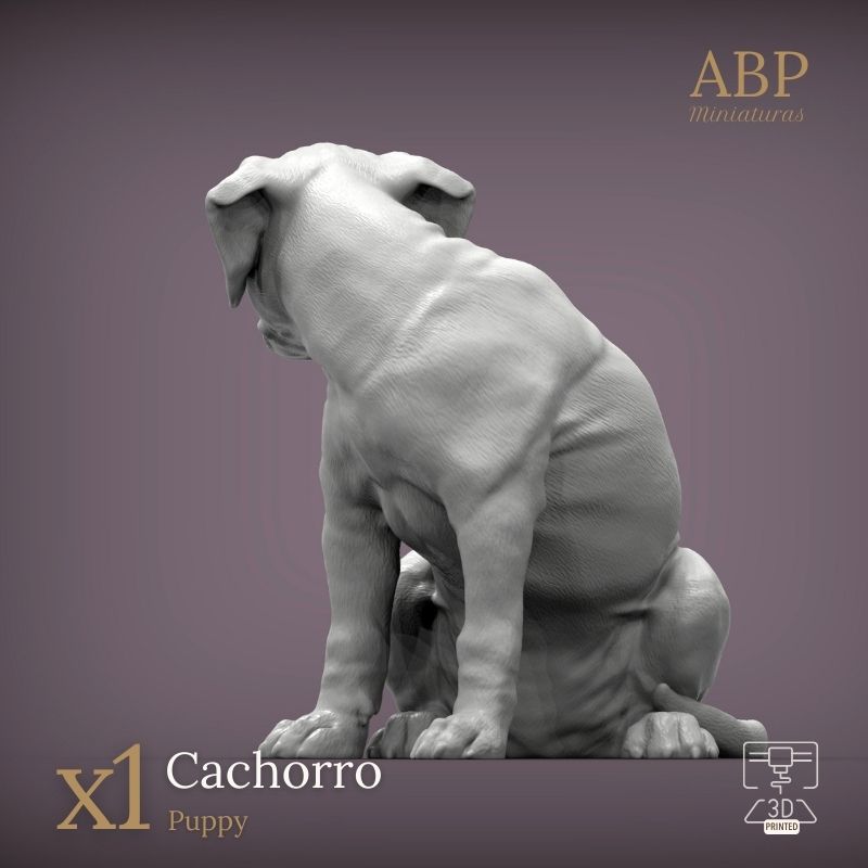 Cachorro