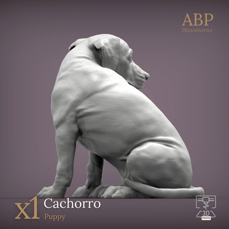 Cachorro