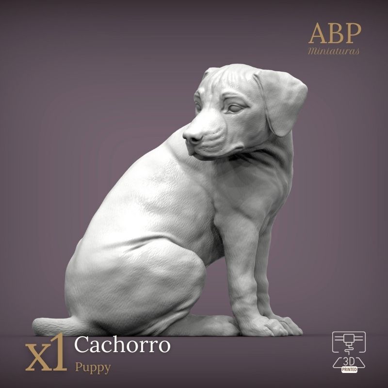 Cachorro