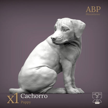Cachorro