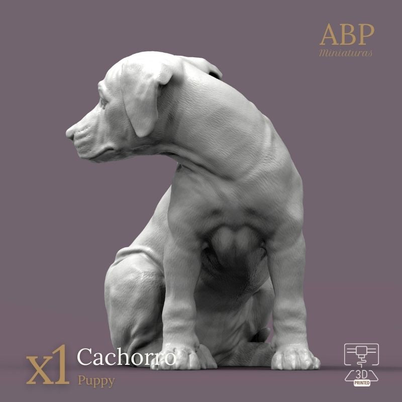 Cachorro