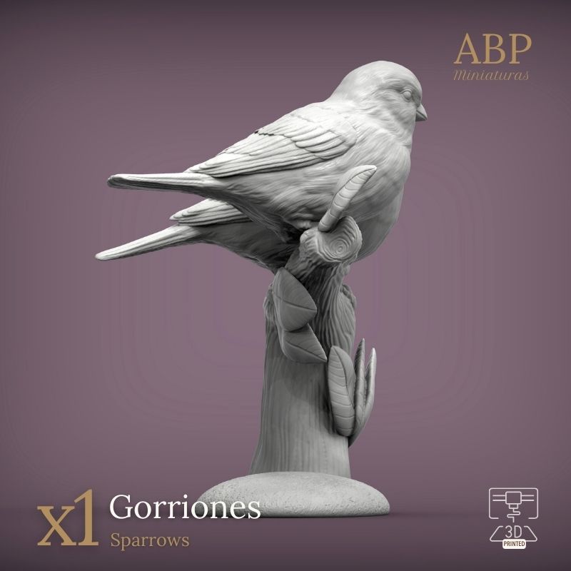 Pareja de Gorriones