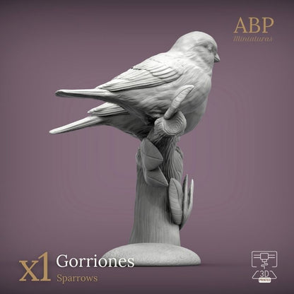 Pareja de Gorriones