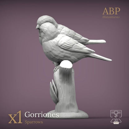 Pareja de Gorriones
