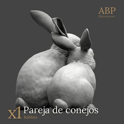 Pareja de Conejos