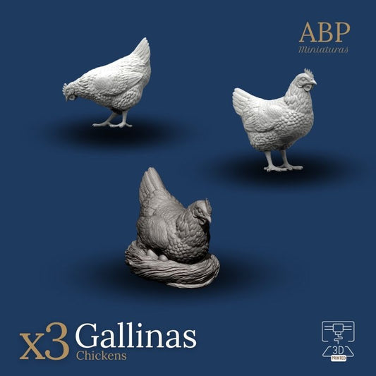 Set 3 gallinas