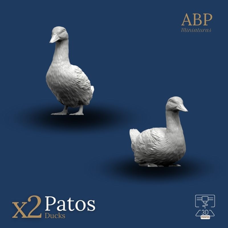 Set de 2 Patos