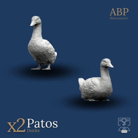 Set de 2 Patos