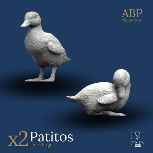 Set de 2 Patitos