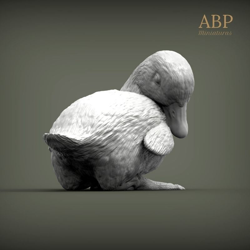Set de 2 Patitos