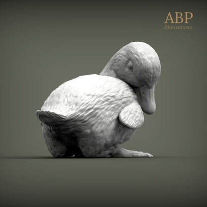 Set de 2 Patitos
