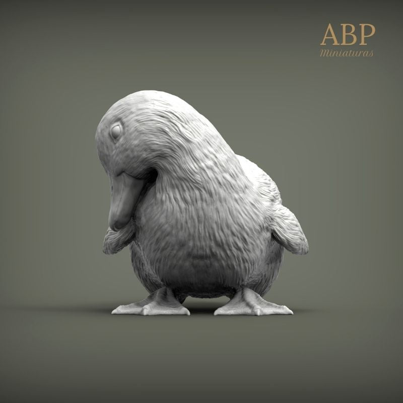 Set de 2 Patitos