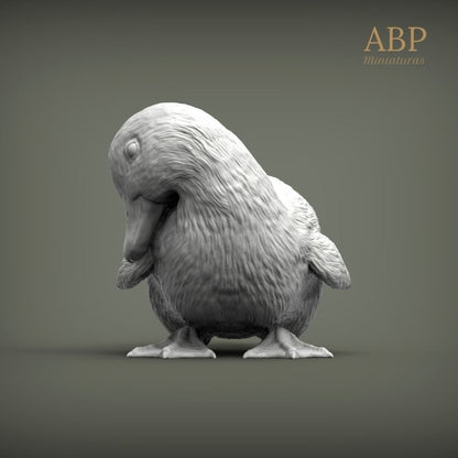 Set de 2 Patitos