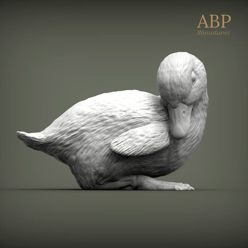 Set de 2 Patitos