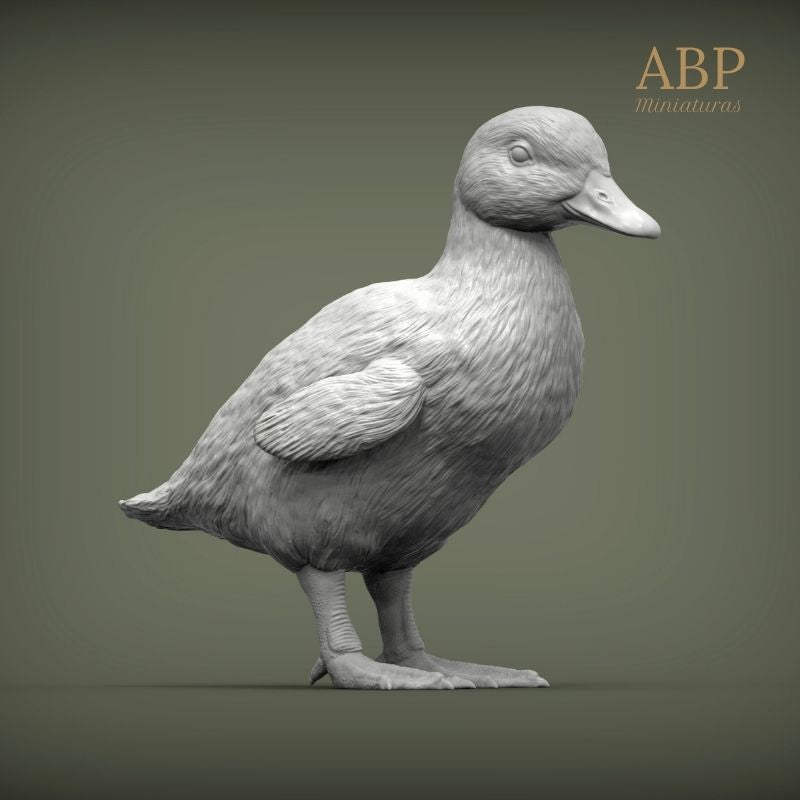Set de 2 Patitos