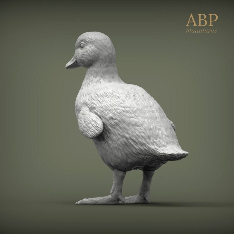 Set de 2 Patitos