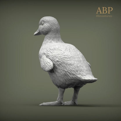Set de 2 Patitos