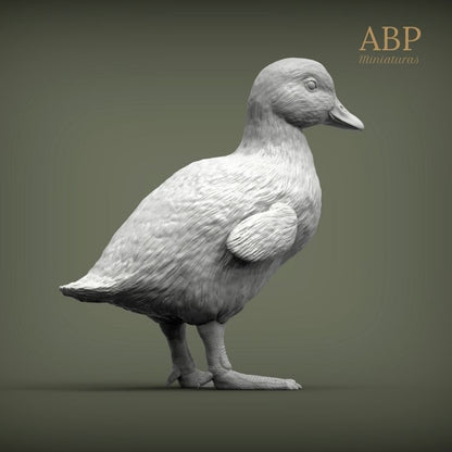 Set de 2 Patitos