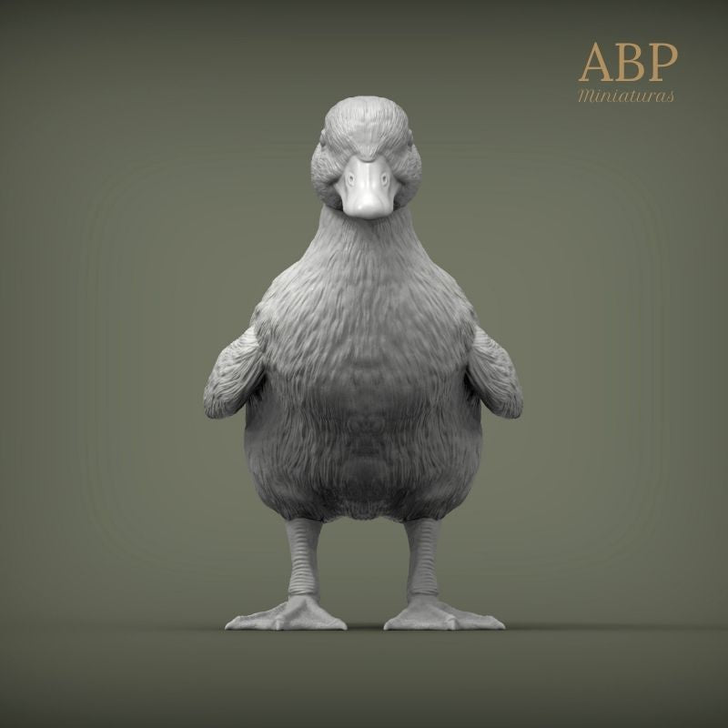 Set de 2 Patitos