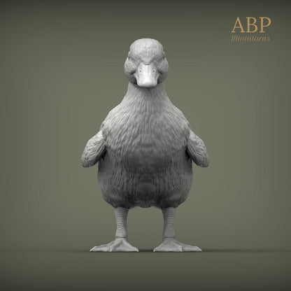 Set de 2 Patitos