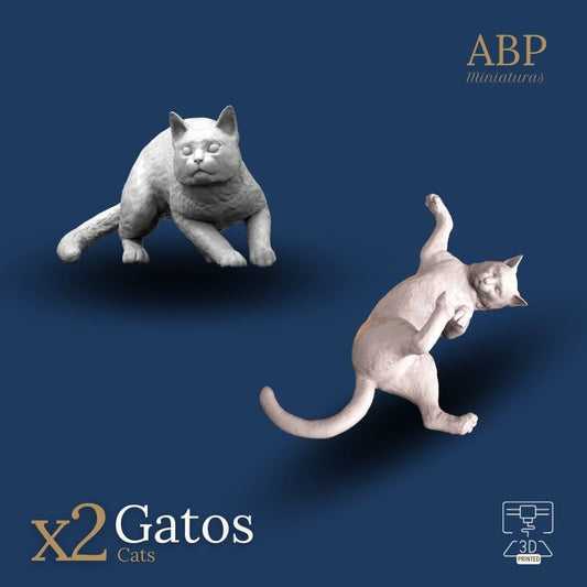 Set dos gatos