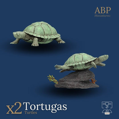 Set 2 tortugas