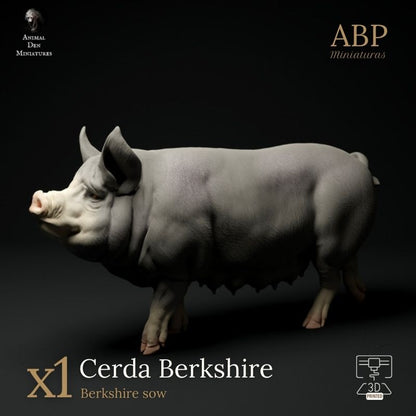 Cerda Berkshire