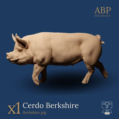 Cerdo Berkshire