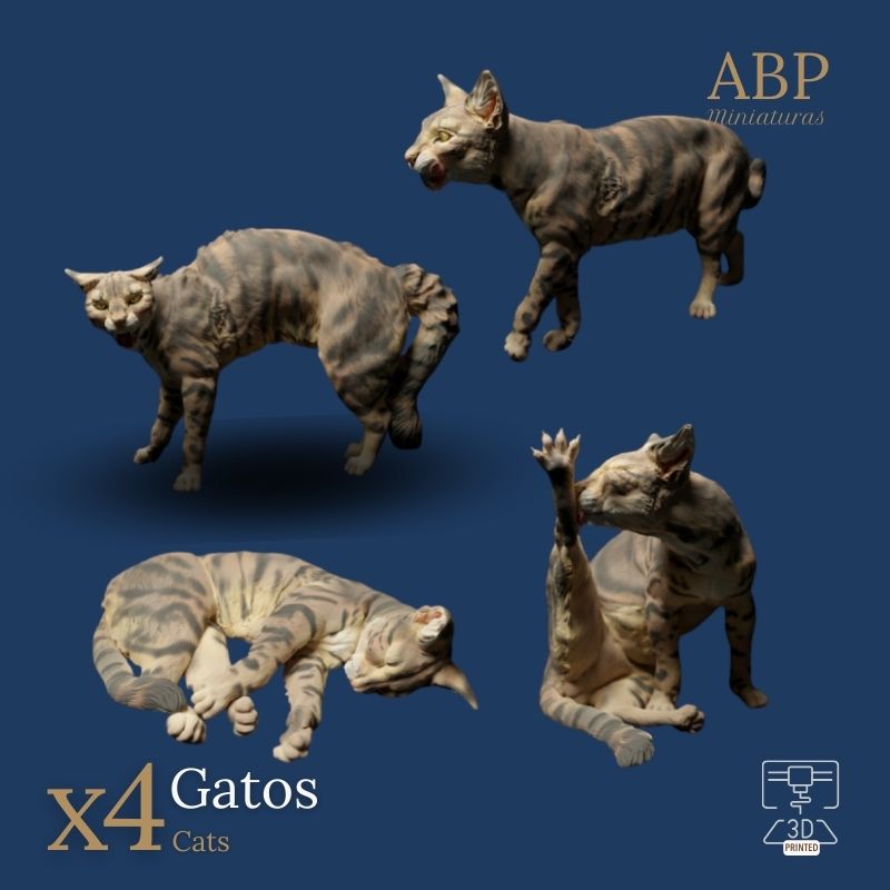 Set de 4 Gatos