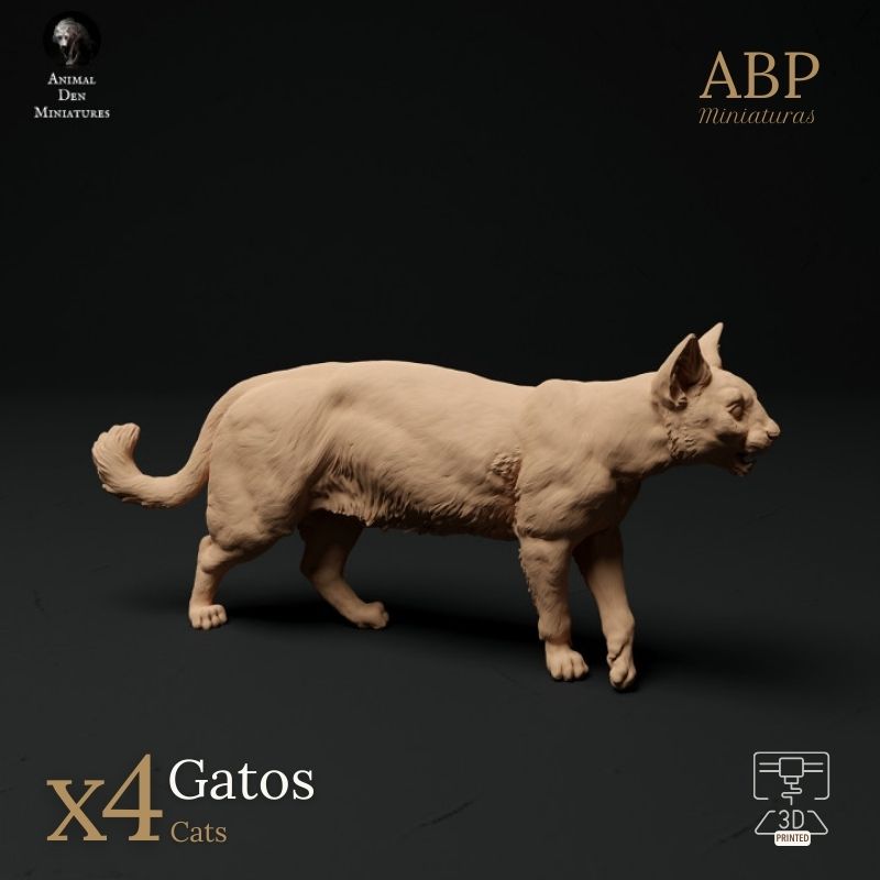 Set de 4 Gatos