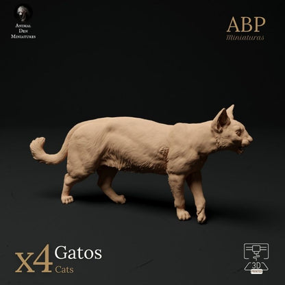 Set de 4 Gatos