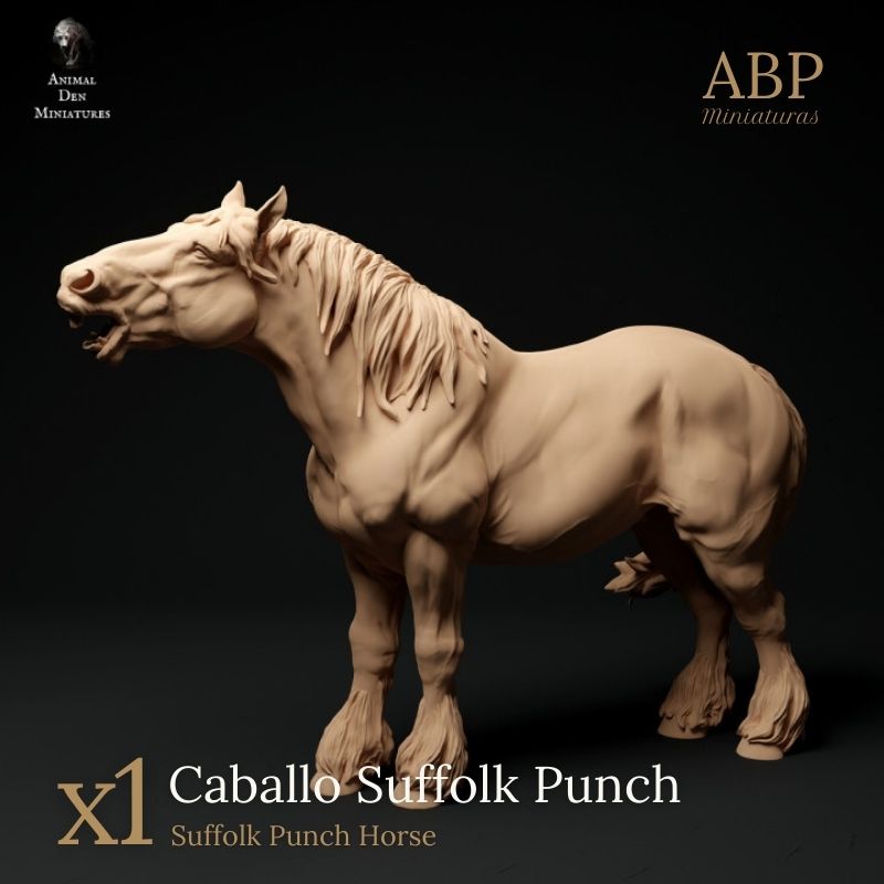 Caballo Suffolk Punch Relinchando