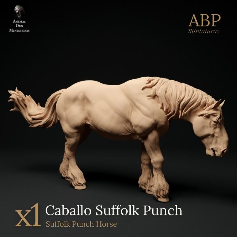 Caballo Suffolk Punch en Reposo