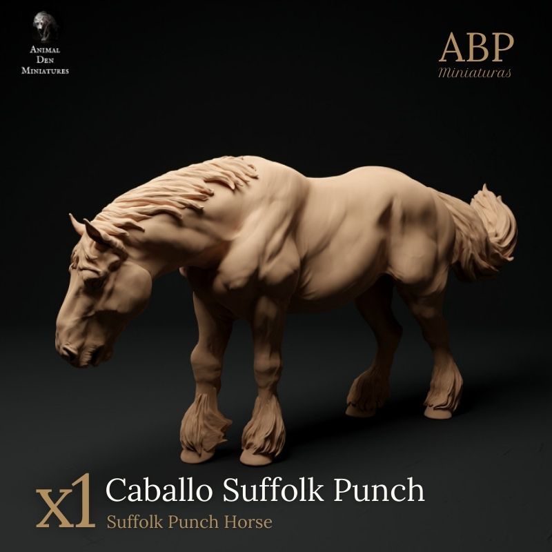 Caballo Suffolk Punch en Reposo