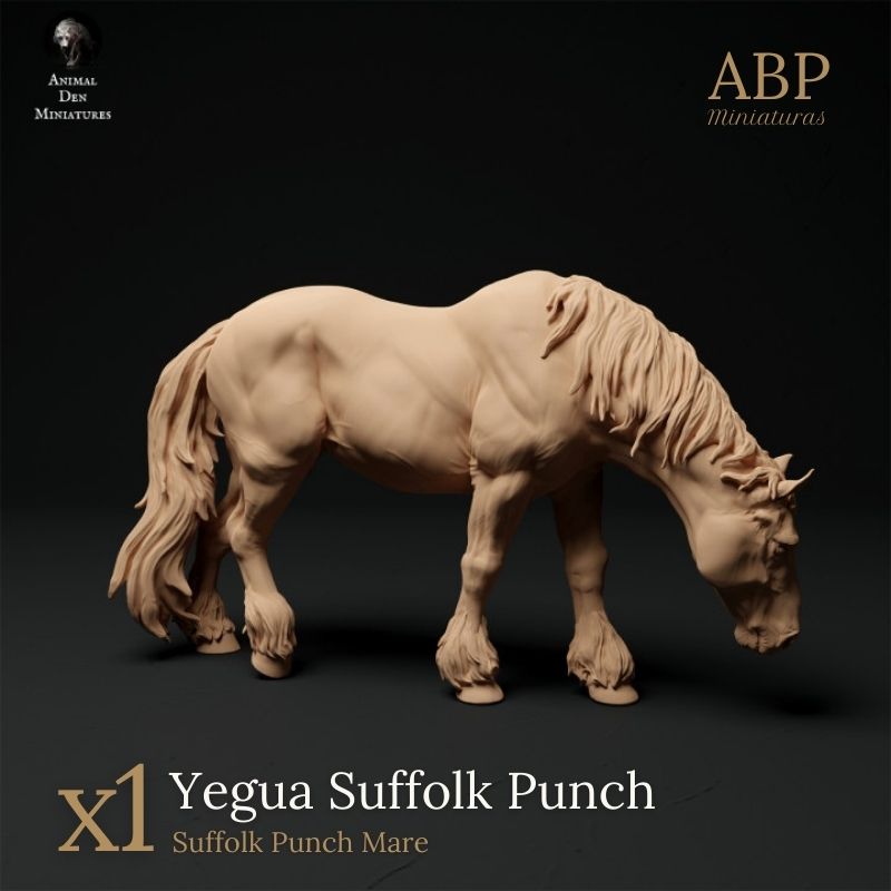 Yegua Suffolk Punch Pastando