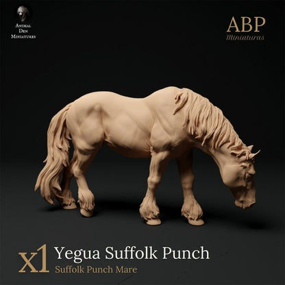 Yegua Suffolk Punch Pastando