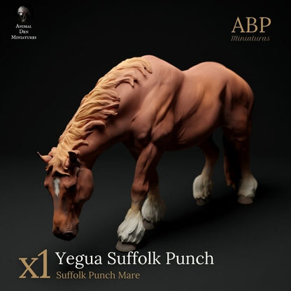 Yegua Suffolk Punch Pastando