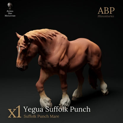 Yegua Suffolk Punch