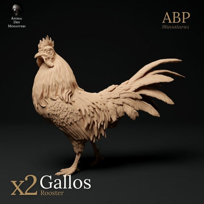 Set de 2 Gallos