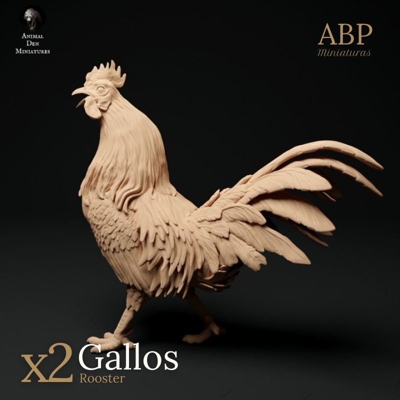 Set de 2 Gallos