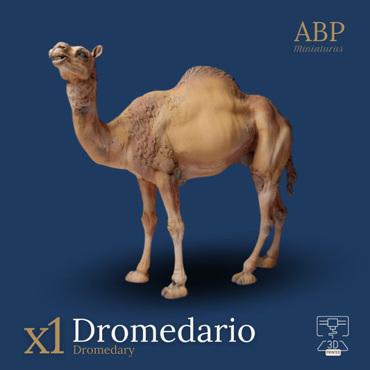 Dromedario